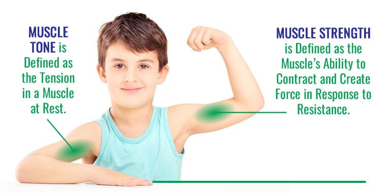 Muscle Tone and Strength